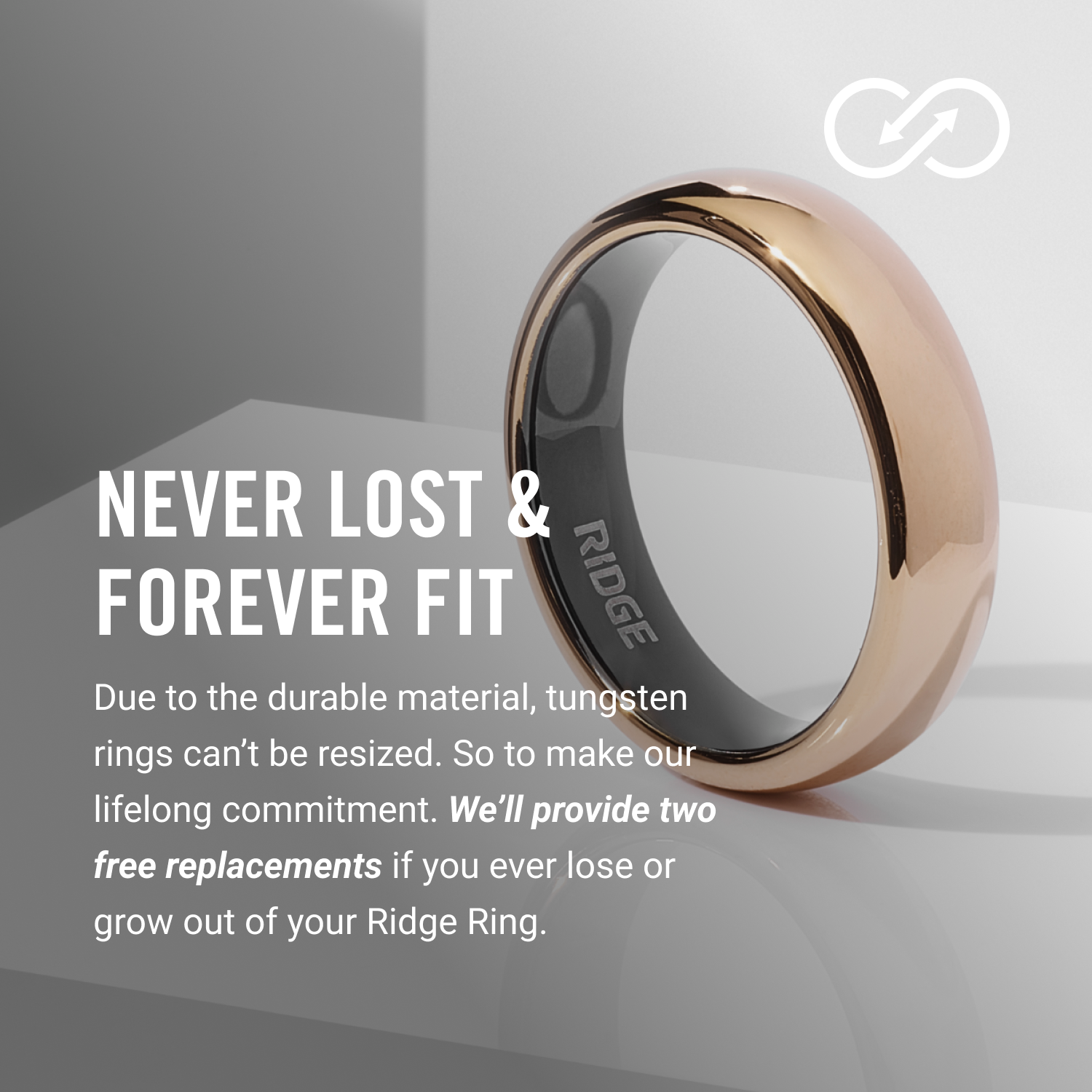 Ridge 6mm Rounded Ring Set - 24K Gold