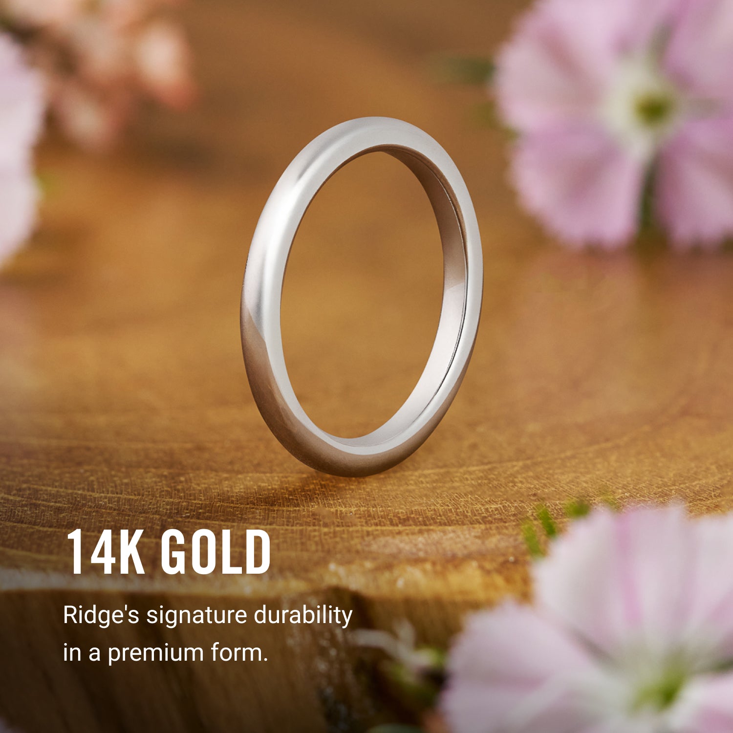 Ridge 2mm Rounded Ring Set - 14K White Gold