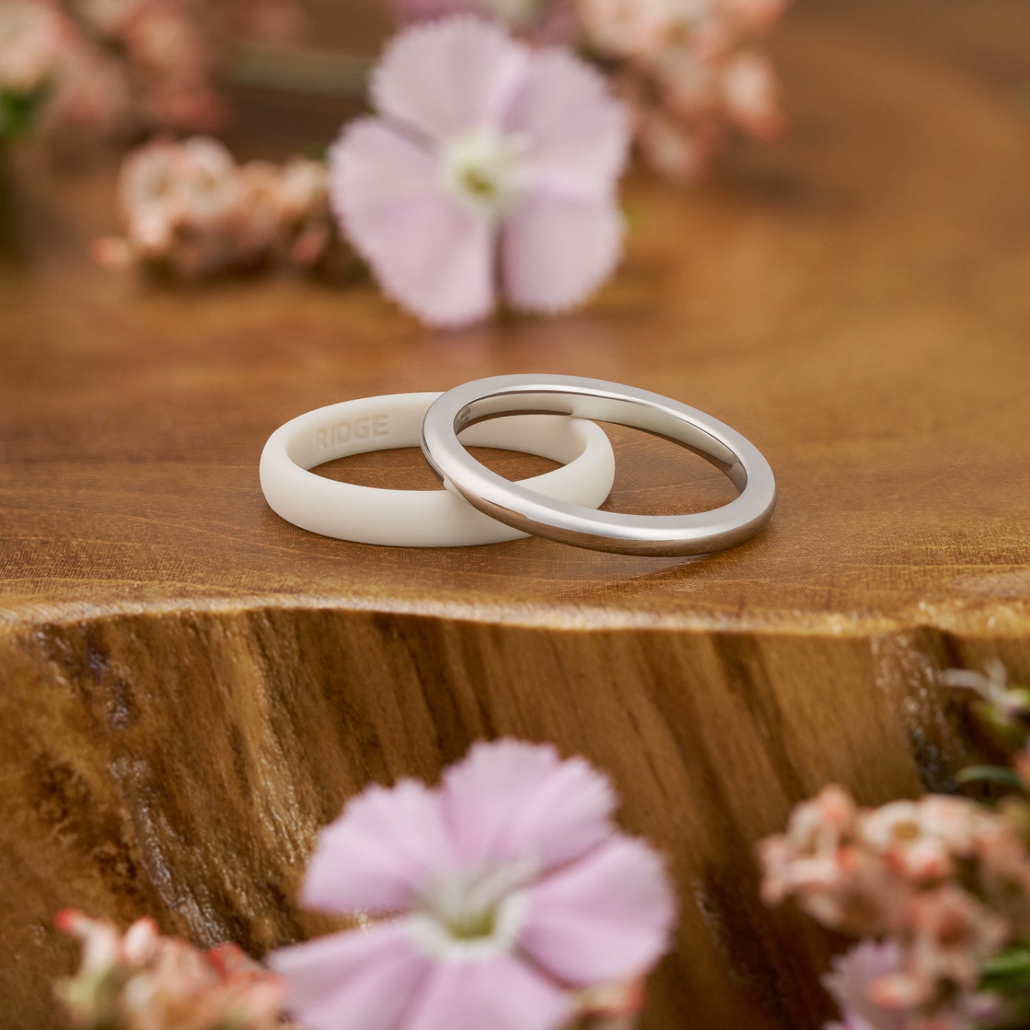 Ridge 2mm Rounded Ring Set - 14K White Gold